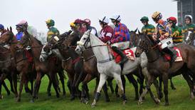 Cheltenham Day 2 Tips  & Offers - Ladies Day Tips 