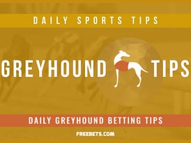 Greyhound Betting Tips