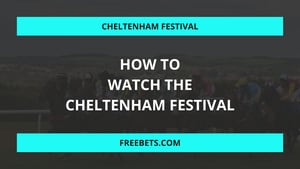 How to Watch the Cheltenham Festival 2024