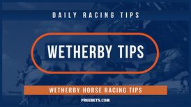 Wetherby Racecourse Tips & Stats Guide