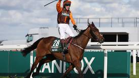 Noble Yeats Aiming for Cheltenham Gold Cup & Grand National Double