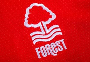 LONDON, UK - OCTOBER 15TH 2015: The club crest on a Nottingham Forest FC shirt, on 15th October 2015. - Image ID: HG5GMR