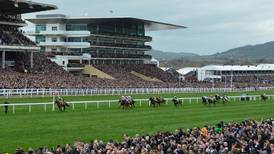 Supreme Novices’ Hurdle Tips, Odds, Free Bets, Betting Offers & Preview