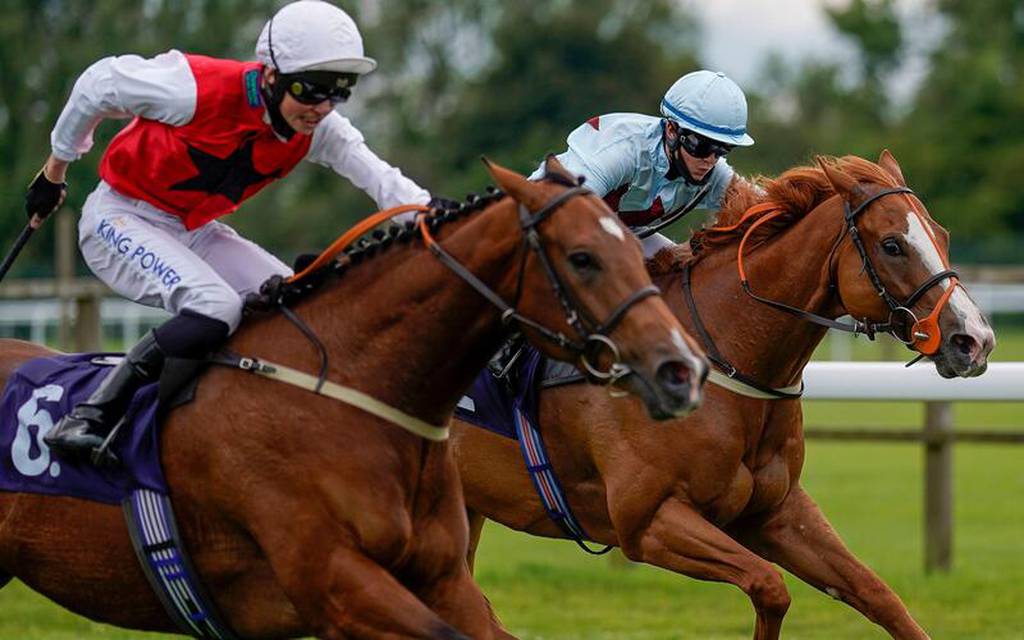 Bath horse racing betting tips
