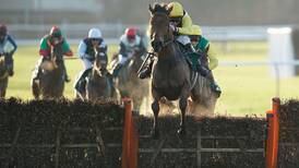 Alan Kelly’s Horse Racing Tips for Saturday 14th January
