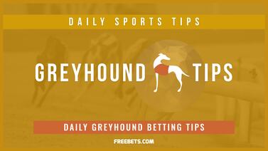 Today’s Greyhound Betting Tips