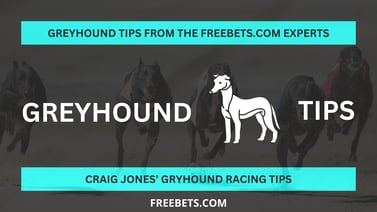 Today’s Greyhound Betting Tips