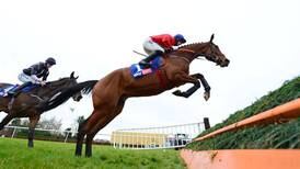 Punchestown Racecourse Tips & Stats Guide