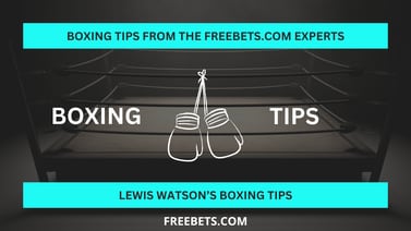 Fury vs Usyk Betting Tips & Predictions 