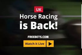 Horse Racing Live Streaming is Back