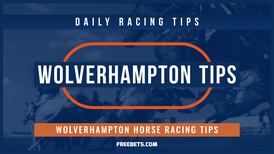 Wolverhampton Racecourse Tips & Stats Guide