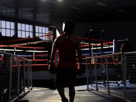 A silhouetted boxer entering the ring.