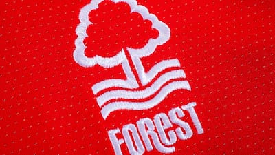 LONDON, UK - OCTOBER 15TH 2015: The club crest on a Nottingham Forest FC shirt, on 15th October 2015. - Image ID: HG5GMR
