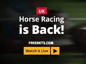 Horse Racing Live Streaming is Back