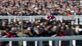 Cheltenham Ones To Watch: Can the Tiger roar to a sixth Festival success 