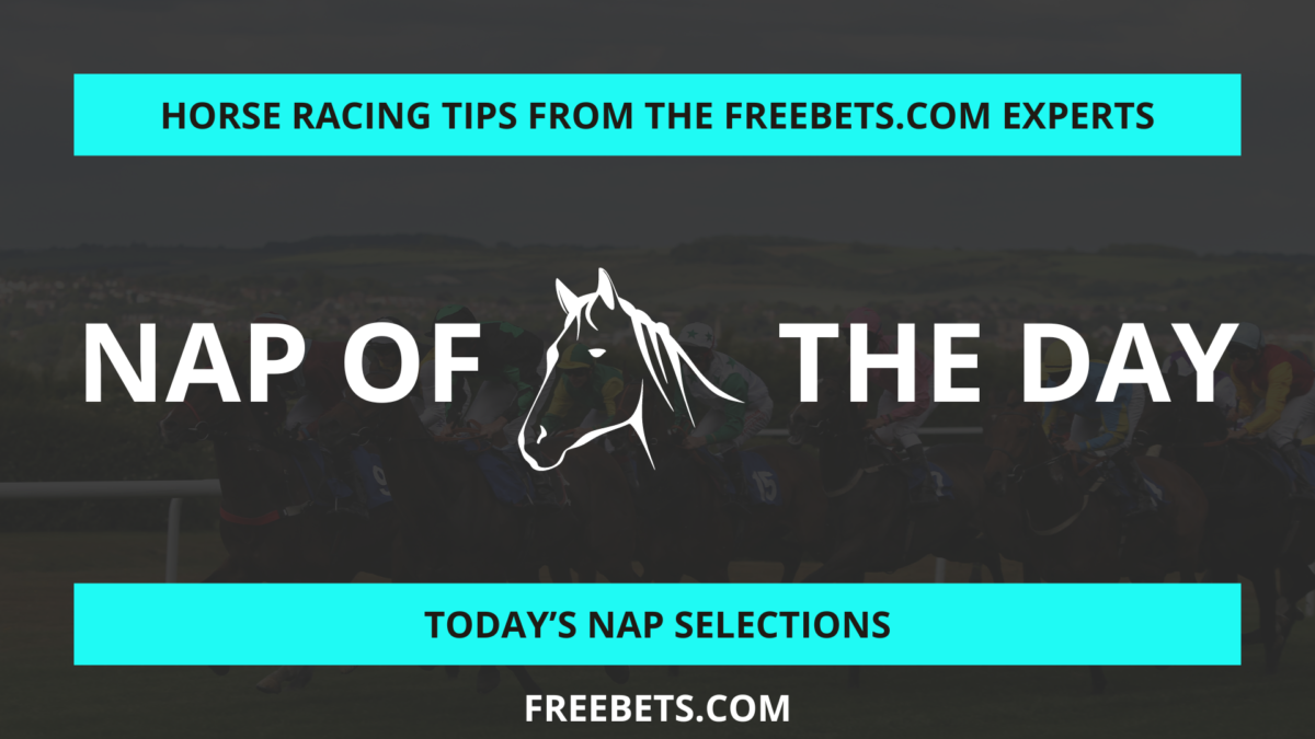 Nap of the Day
