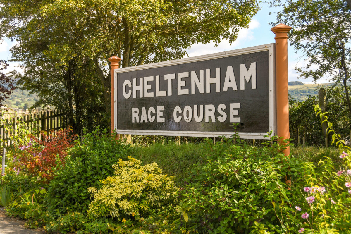 Cheltenham Tips, Cheltenham Odds