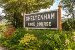 Cheltenham Tips, Cheltenham Odds