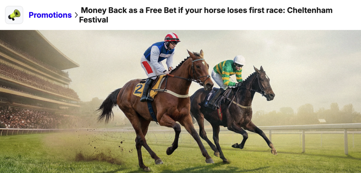 Cheltenham Existing Customer Promos - BoyleSports